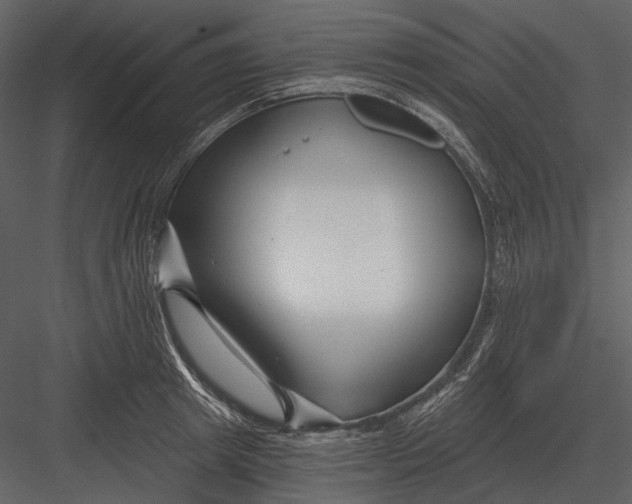 X0000082930849200702222217