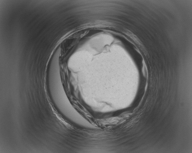 X0000082930850200702222217