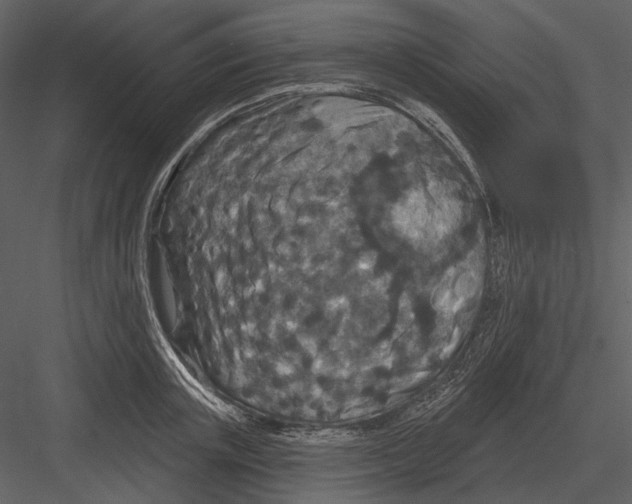 X0000082930851200702222217