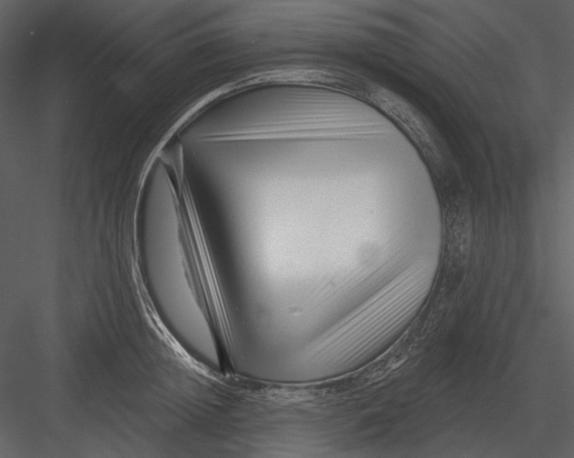 X0000082930852200702222217