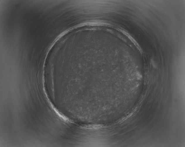 X0000082930853200702222217