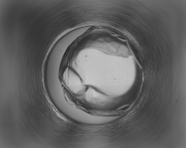 X0000082930854200702222217