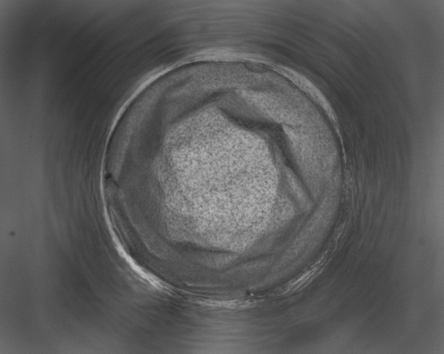 X0000082930855200702222217