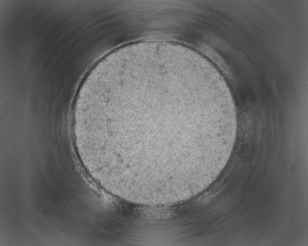 X0000082930856200702222217