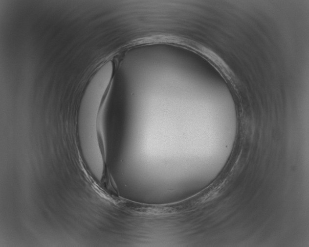 X0000082930857200702222218