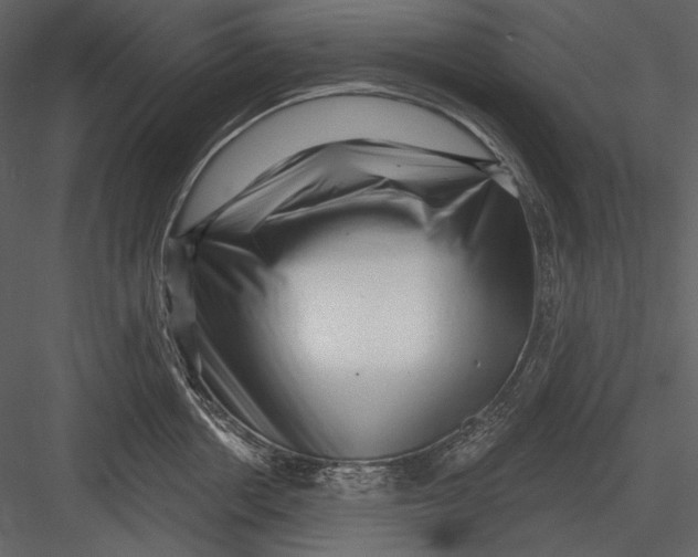 X0000082930858200702222218