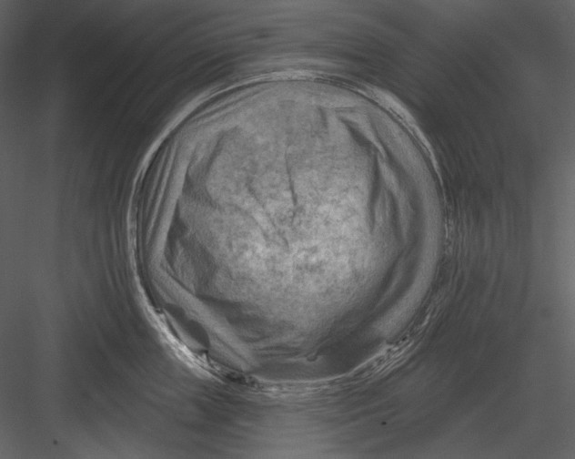 X0000082930859200702222218