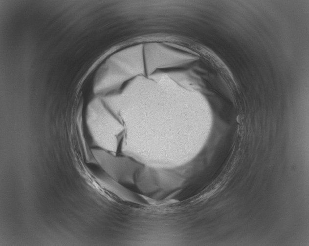 X0000082930860200702222218