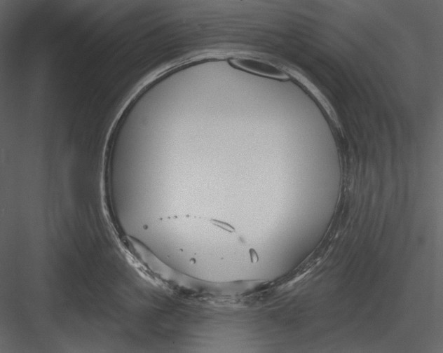 X0000082930861200702222218