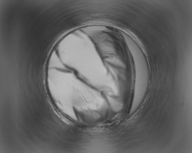 X0000082930862200702222218