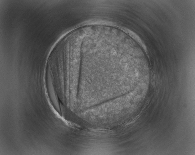 X0000082930863200702222218