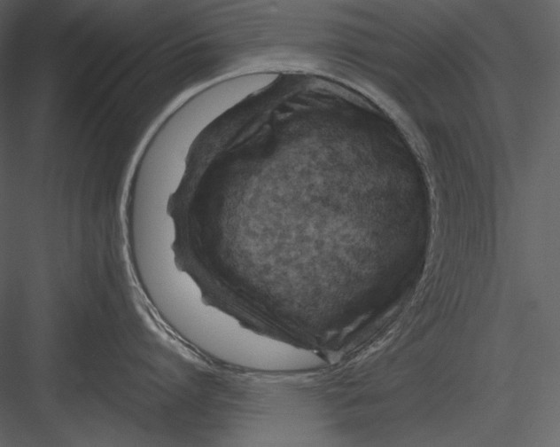 X0000082930864200702222218