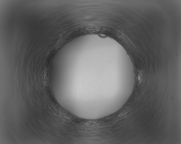 X0000082930867200702222217