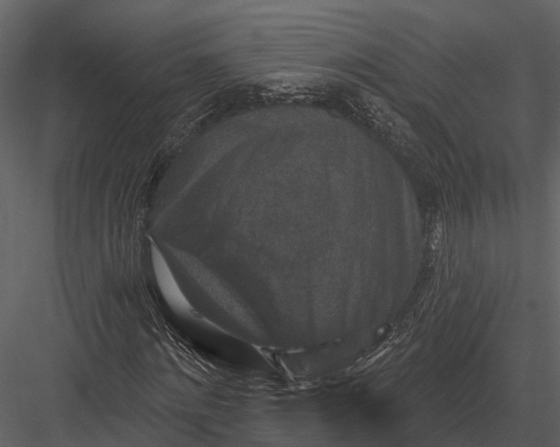 X0000082930868200702222217