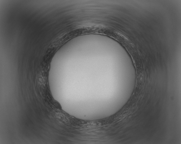 X0000082930869200702222217