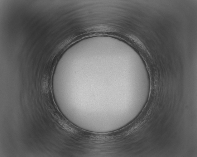 X0000082930873200702222217