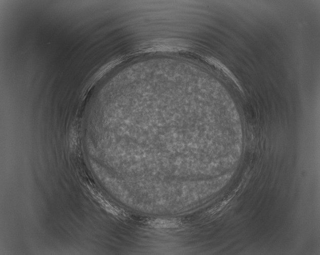 X0000082930874200702222217