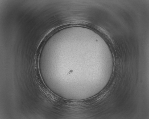 X0000082930875200702222217