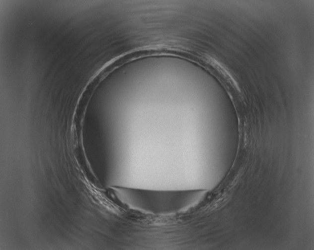 X0000082930876200702222217