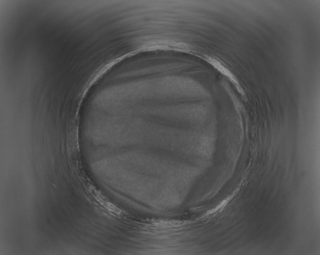 X0000082930877200702222217