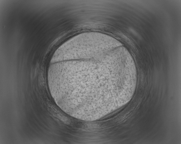 X0000082930878200702222217