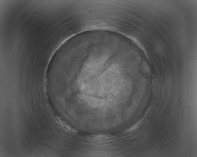 X0000082930879200702222217