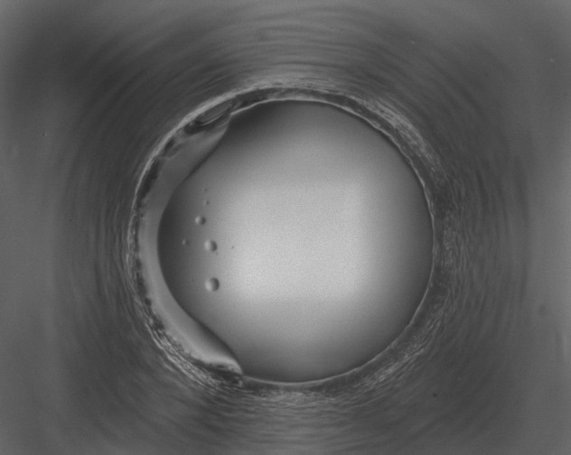 X0000082930880200702222217