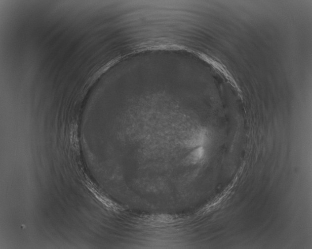 X0000082930881200702222217