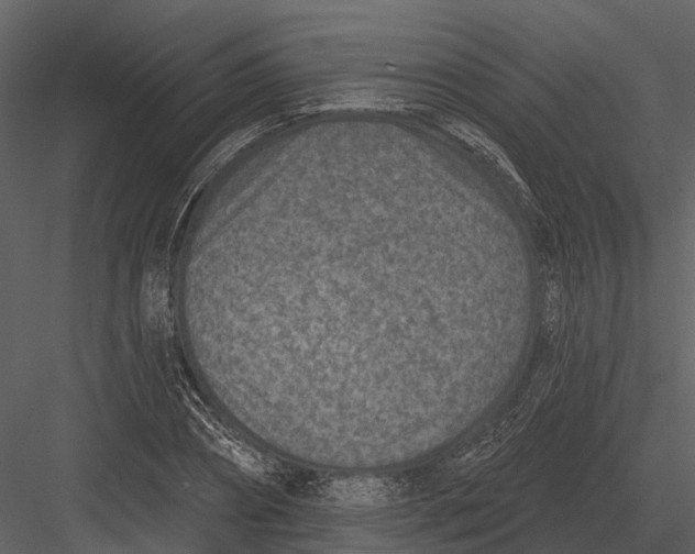 X0000082930882200702222217