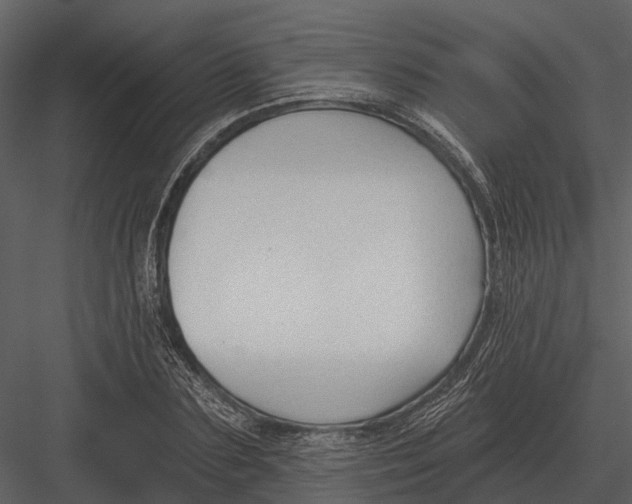 X0000082930883200702222216