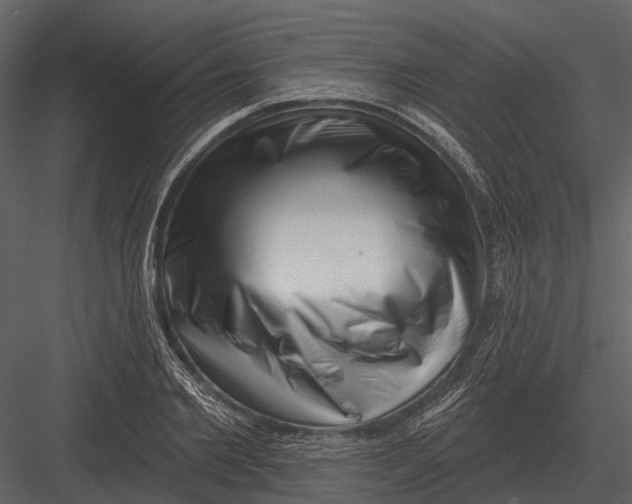 X0000082930885200702222216