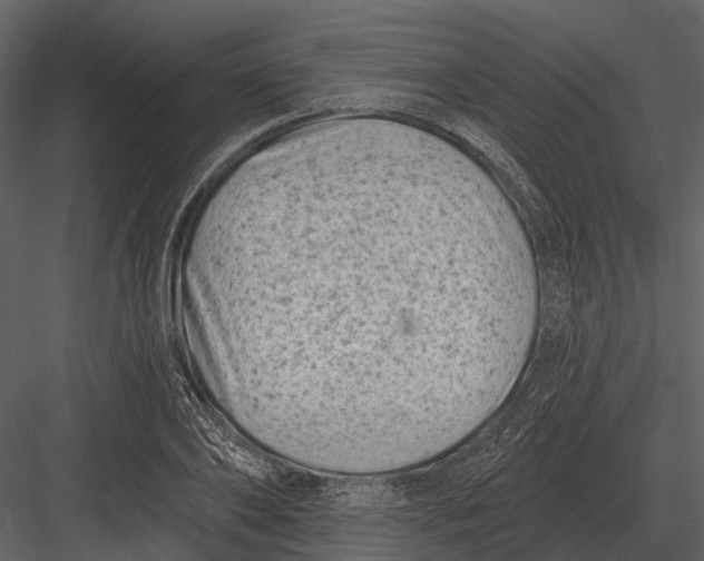 X0000082930886200702222216