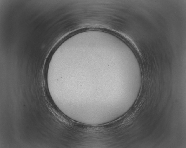 X0000082930887200702222216