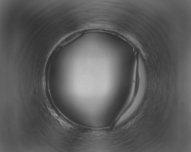 X0000082930888200702222216