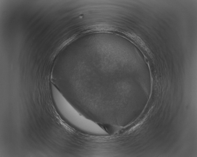 X0000082930889200702222216