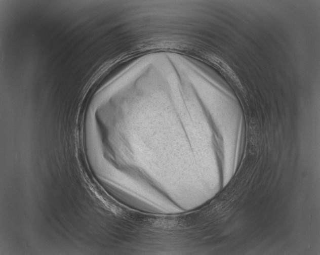 X0000082930890200702222216