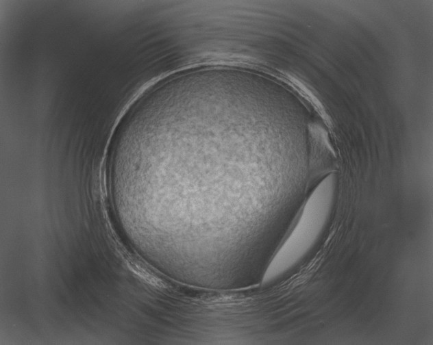 X0000082930891200702222216