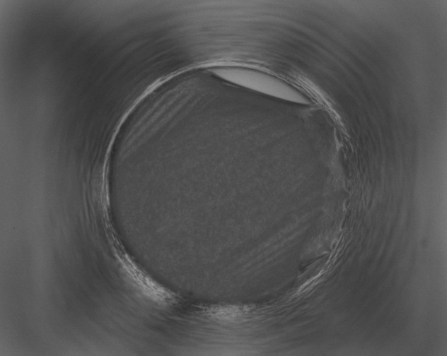 X0000082930892200702222216