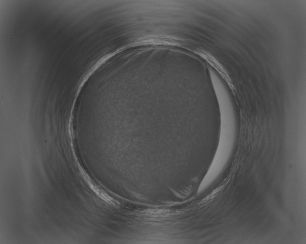 X0000082930893200702222216