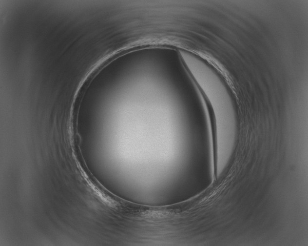 X0000082930894200702222216