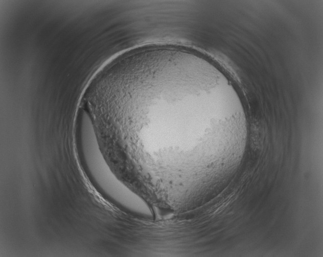 X0000082930895200702222216