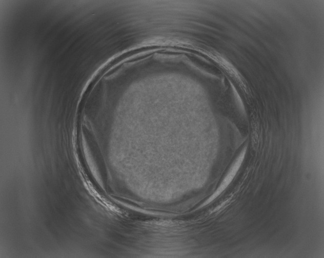 X0000082930896200702222216