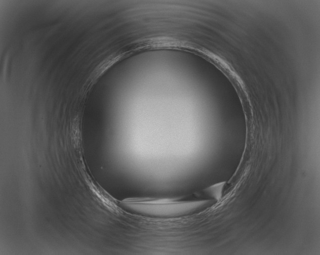 X0000082930897200702222216