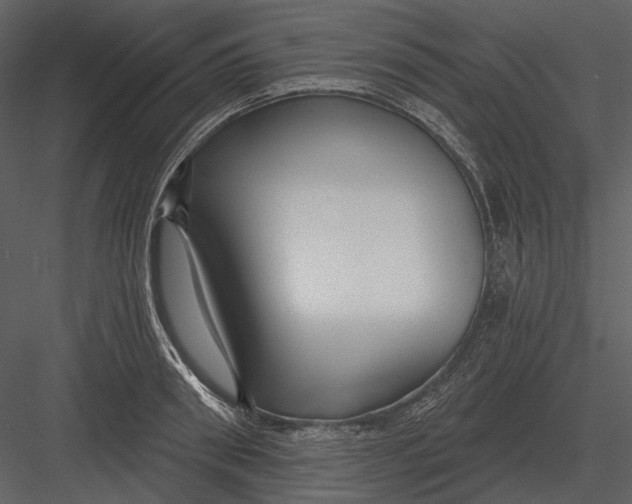 X0000082930898200702222216