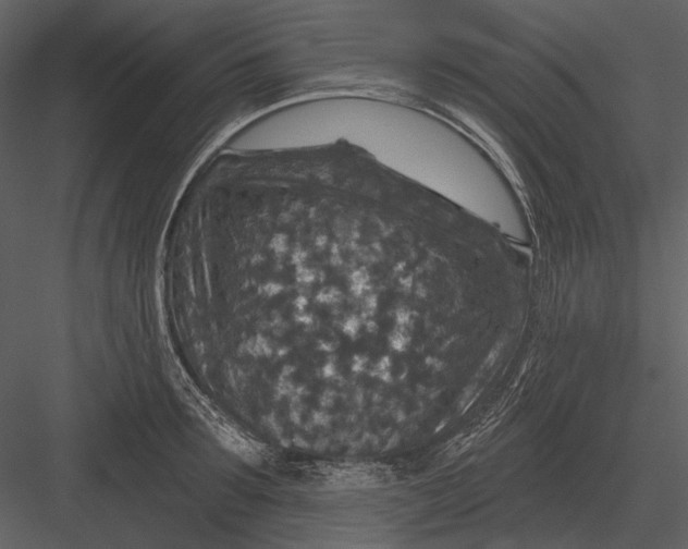 X0000082930899200702222216