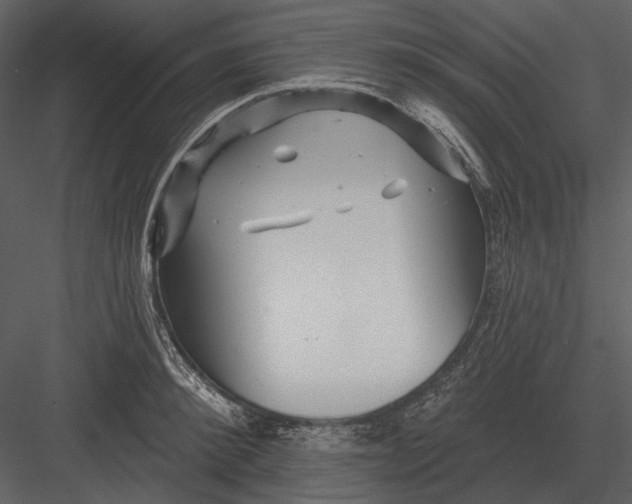 X0000082930900200702222216