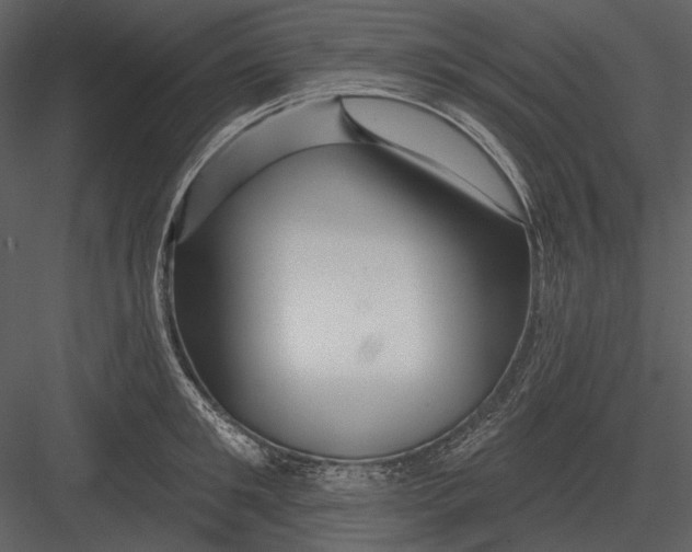 X0000082930901200702222216