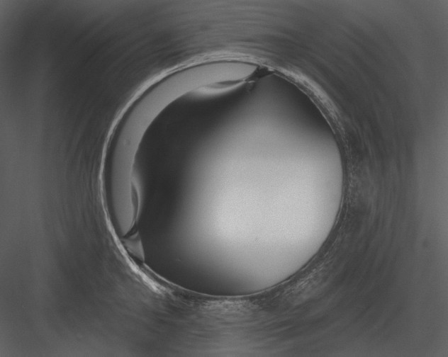 X0000082930902200702222216