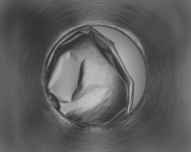 X0000082930903200702222216