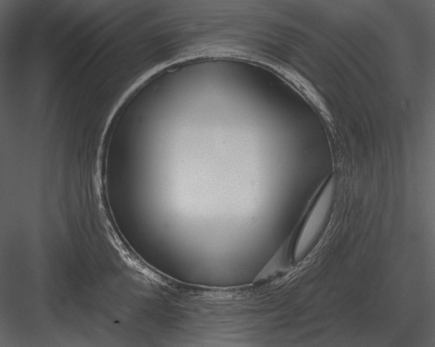 X0000082930904200702222216